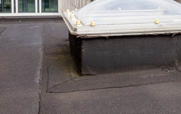 disadvantages of Welbourn flat roofs