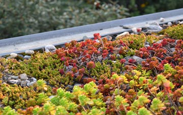 the cost of Welbourn green roof installation