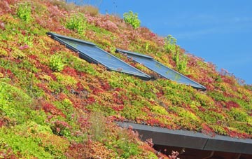 Welbourn living roof systems